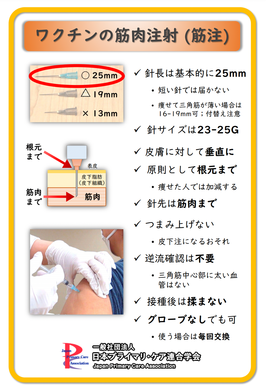 コロナワクチンの注射部位は 筋肉注射とは バイタリティクリニック神戸三宮 Jr元町駅から徒歩1分